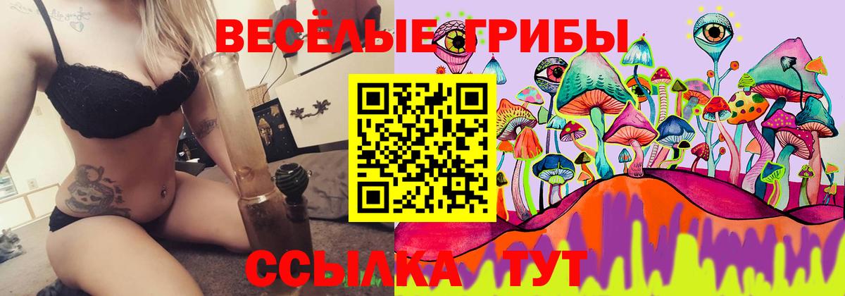 Галлюциногенные грибы Psilocybine cubensis Белово